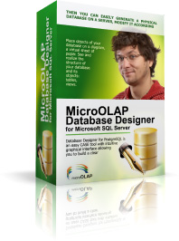 MicroOLAP Database Designer Boxshot